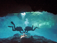 Mexican Explorer Dive Package