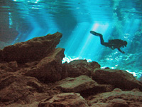 Mexican Greatest Dive Package