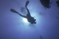 PADI Open Water Diver Punta Cana