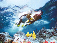 Snorkel Excursion to Coral Reef from Punta Cana
