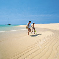 Michaelmas Cay Sailing Reef Cruise aboard luxury catamaran from Cairns