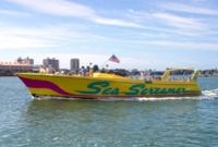 Clearwater Beach Excursion from Orlando