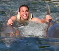 Overnight Swim with Dolphins and Everglades Airboat Adventure