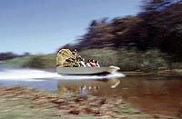 Swim with Manatees at Crystal River plus Airboat Adventure