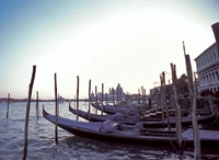 Venice Full Day Tour from Milan