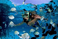 Cozumel Round Trip Airport Transfers