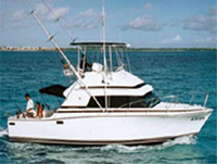 Fishing in a Privately Chartered Boat from Cancun