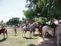 Horseback Riding from Cozumel
