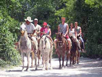 Horseback Riding from Riviera Maya