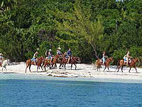 Horseback Riding near Cancun