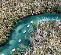 Jungle Speed Boat Tour from Cancun