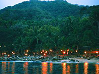 Puerto Vallarta's Rhythms of the Night