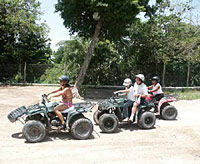 Wild ATV Beach and Jungle Adventure Tour from Cozumel