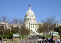 4 Day East Coast Express: Washington DC and Niagara Falls