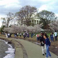 4 Day East Coast Express: Washington DC and Niagara Falls