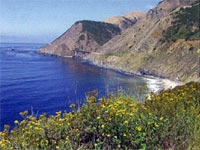 California Coast Overnight Tour: Los Angeles to San Francisco