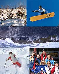 Thredbo or Perisher Blue Weekend Snow Trip from Canberra