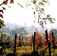 Graves and Montesquieu - Tour of the Grands Crus Classes De Graves