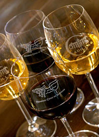 Walk the Hills along the Garonne with Wine Tasting