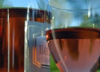 Wine Tasting at Chateaux and Terroirs - The Great Bordeaux Vineyards