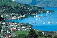 Ultimate Akaroa Tour and Farm Visit from Christchurch