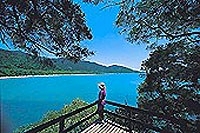 Cape Tribulation and Daintree 4WD Safari from Cairns