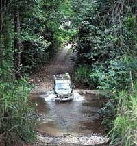 Cape Tribulation and Daintree 4WD Safari from Palm Cove