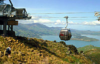 New Zealand Christchurch - Christchurch City Sightseeing - Must See Four tours