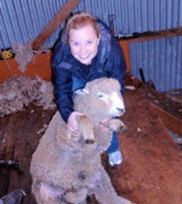 Christchurch Sheep Farm Visit