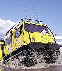 Christchurch Snow And Kiwi Tour