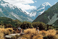 Explore Mount Cook from Christchurch