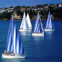 Auckland Harbour Lunch Sailing Trip