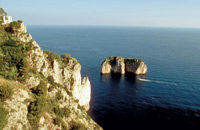 Capri Day Tour with Lunch from Naples