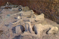 Mt Vesuvius and Pompeii Day Tour from Naples