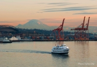 Seattle Harbor Cruise