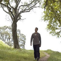 Maori Guided Walk of Auckland