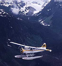 Rugged Mountains and The Wild West Coast Seaplane Tour