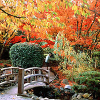 Victoria Fly n Dine at Butchart Gardens