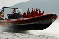 Howe Sound Sea Safari Cruise