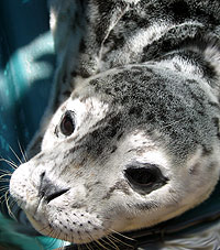 Self-Drive Ocean Adventure - Marine Discovery Tour