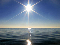 Howe Sound Sea Safari Cruise