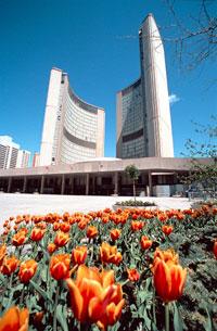 Grand City Tour of Toronto