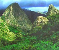 Day Tour to La Gomera