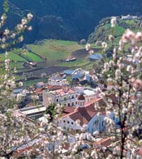 Full Day Gran Canaria Island Tour with Lunch at Casa Romantica