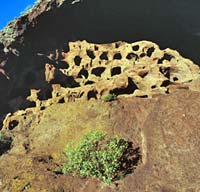 Full Day Tour of Canarian Landscapes Island Tour