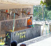 Full Day Tour to Puerto de Mogan and Palmitos Park