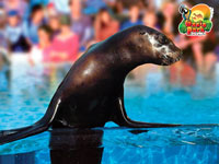 La Lajita Oasis Park - Fuerteventura's Animal Park