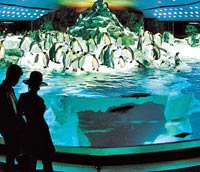 Loro Park on Tenerife