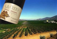 Baja California Mexico Wine Tour