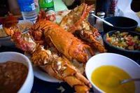 Baja Lobster Tour